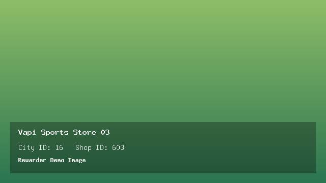 Vapi Sports Store 03